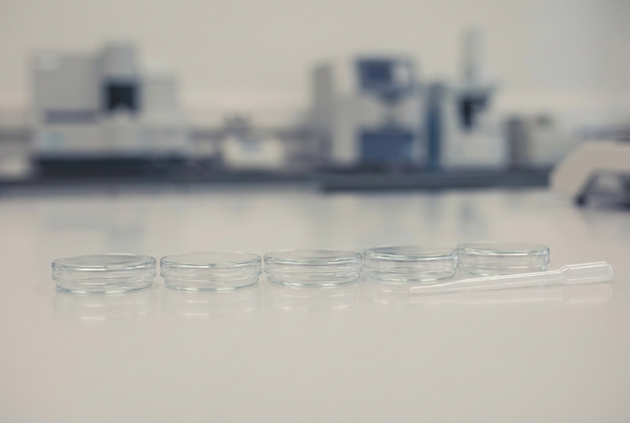 A neat row of empty, unused glass petri dishes on a clean laboratory bench